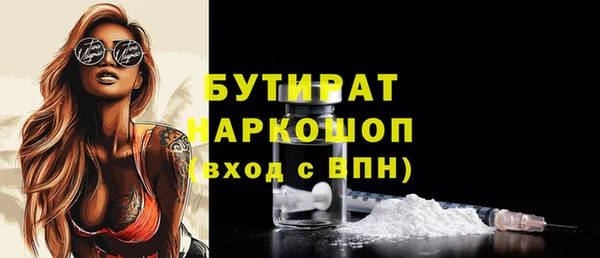 гашик Алексин