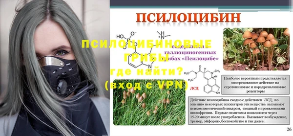 гашик Алексин