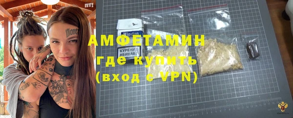 гашик Алексин