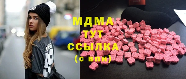 гашик Алексин