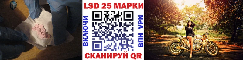 kraken как войти  Бикин  Лсд 25 экстази кислота 