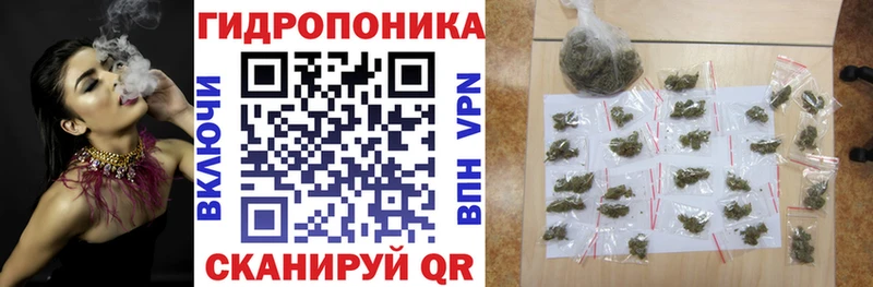 KRAKEN зеркало Бикин Канабис ГИДРОПОН